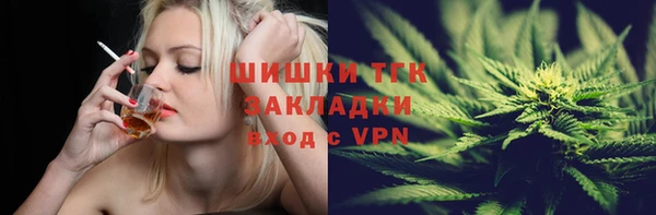винт Гусь-Хрустальный