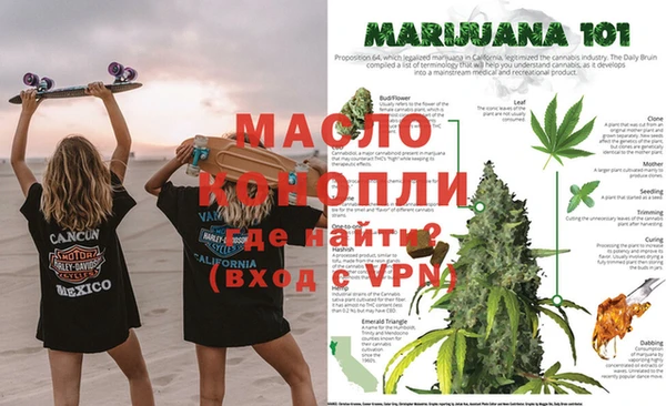 мяу мяу мука Гусев