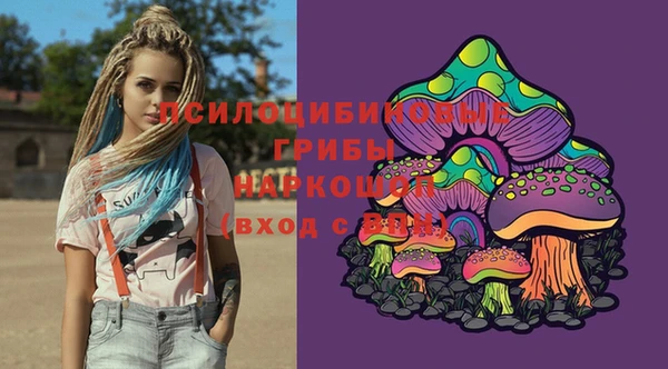 винт Гусь-Хрустальный