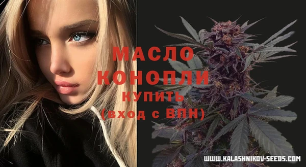винт Гусь-Хрустальный