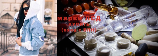 мяу мяу мука Гусев